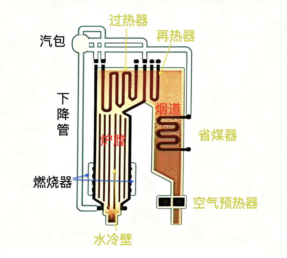 图3 锅炉本体示意图